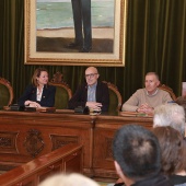 Castellón ciudad plural
