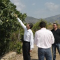 Mejora del entorno del paraje del Molí de la Font