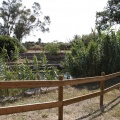 Mejora del entorno del paraje del Molí de la Font