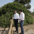 Mejora del entorno del paraje del Molí de la Font