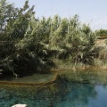 Mejora del entorno del paraje del Molí de la Font