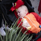 Carnestoltes