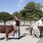 Recreación histórica