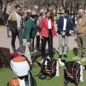 Mantenimiento y mejora de jardines