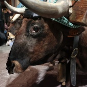 Cabalgata del Pregón