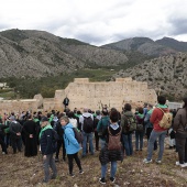 Romería de les Canyes