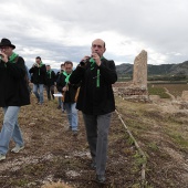 Romería de les Canyes
