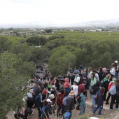 Romería de les Canyes