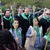 Romería de les Canyes