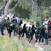 Romería de les Canyes