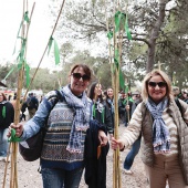 Romería de les Canyes