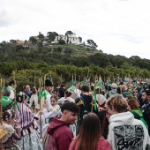 Romería de les Canyes