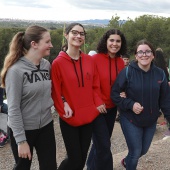 Romería de les Canyes