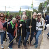 Romería de les Canyes