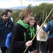 Romería de les Canyes
