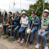 Romería de les Canyes