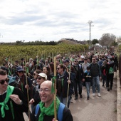 Romería de les Canyes