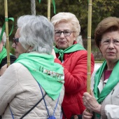 Romería de les Canyes