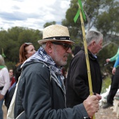 Romería de les Canyes
