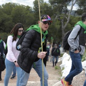 Romería de les Canyes