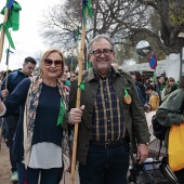 Romería de les Canyes