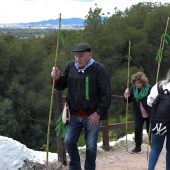 Romería de les Canyes