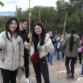 Romería de les Canyes