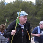 Romería de les Canyes
