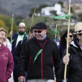 Romería de les Canyes