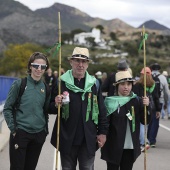 Romería de les Canyes