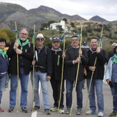Romería de les Canyes