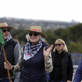 Romería de les Canyes