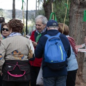 Romería de les Canyes