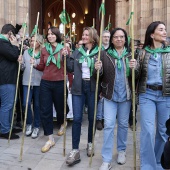 Romería de les Canyes