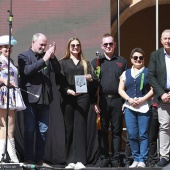 Festival Internacional de Música de Festa
