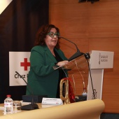 Cruz Roja Castellón