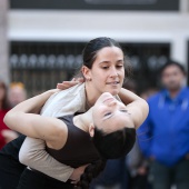 Nit de la Dansa