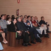 Premios Maquetas de Gaiatas