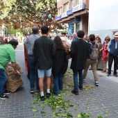 Castellón, 2025
