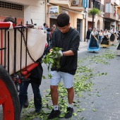 Castellón, 2025