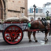Castellón, 2025