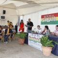 Castellón, Benicàssim, Presentación del Rototom Sunsplash
