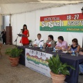 Castellón, Benicàssim, Presentación del Rototom Sunsplash