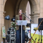 Festival de Danzas de la Antigua Corona de Aragón