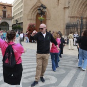 Grupos participantes