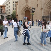 Grupos participantes
