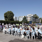 Carrera de las Empresas