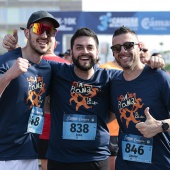 Carrera de las Empresas
