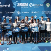 Carrera de las Empresas