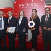 Premios Cámara Castellón
